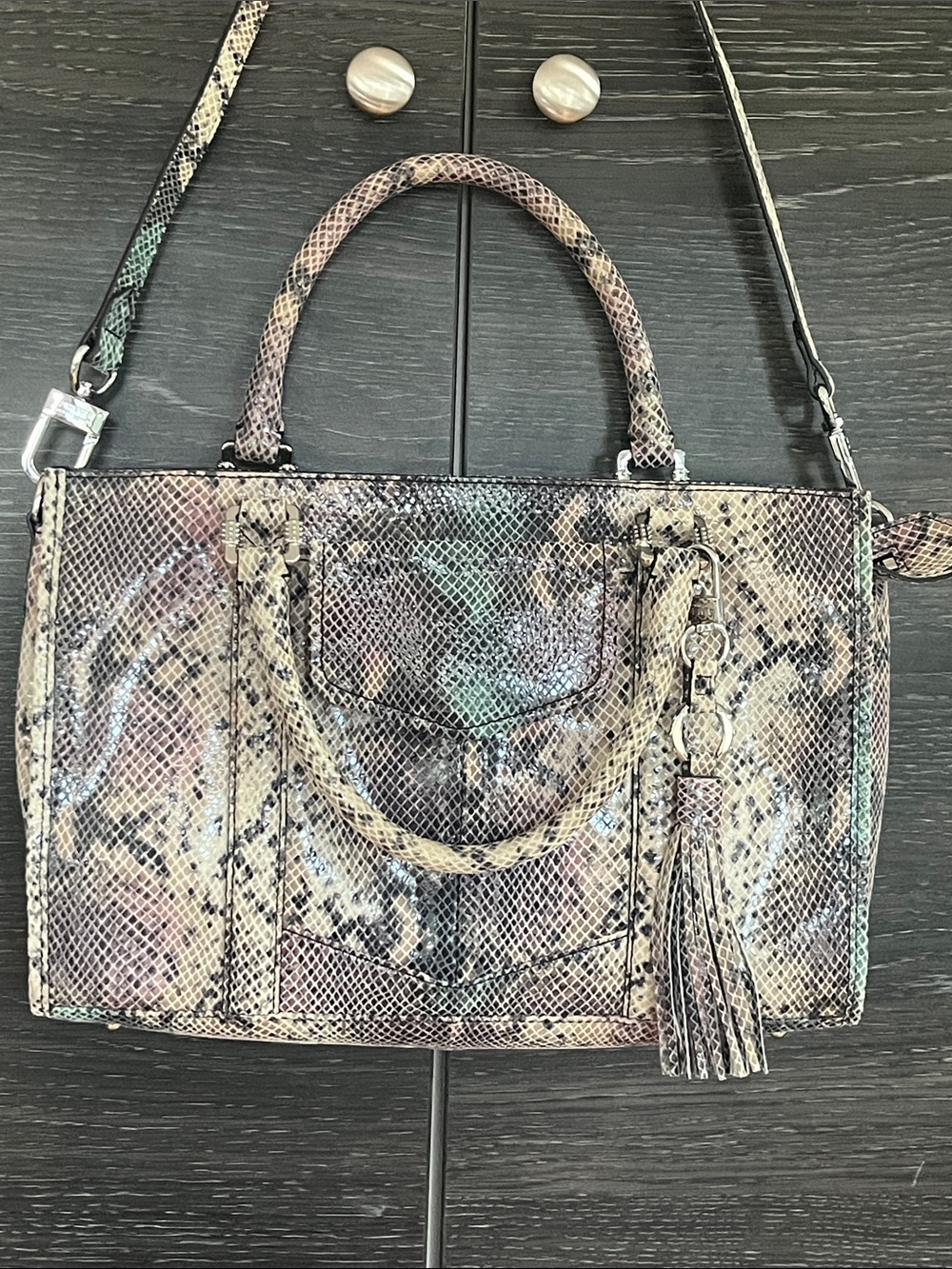 Aimee Kestenberg Colourful Sanke Print Leather Bag